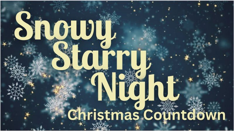 Snowy Starry Night Christmas Countdown